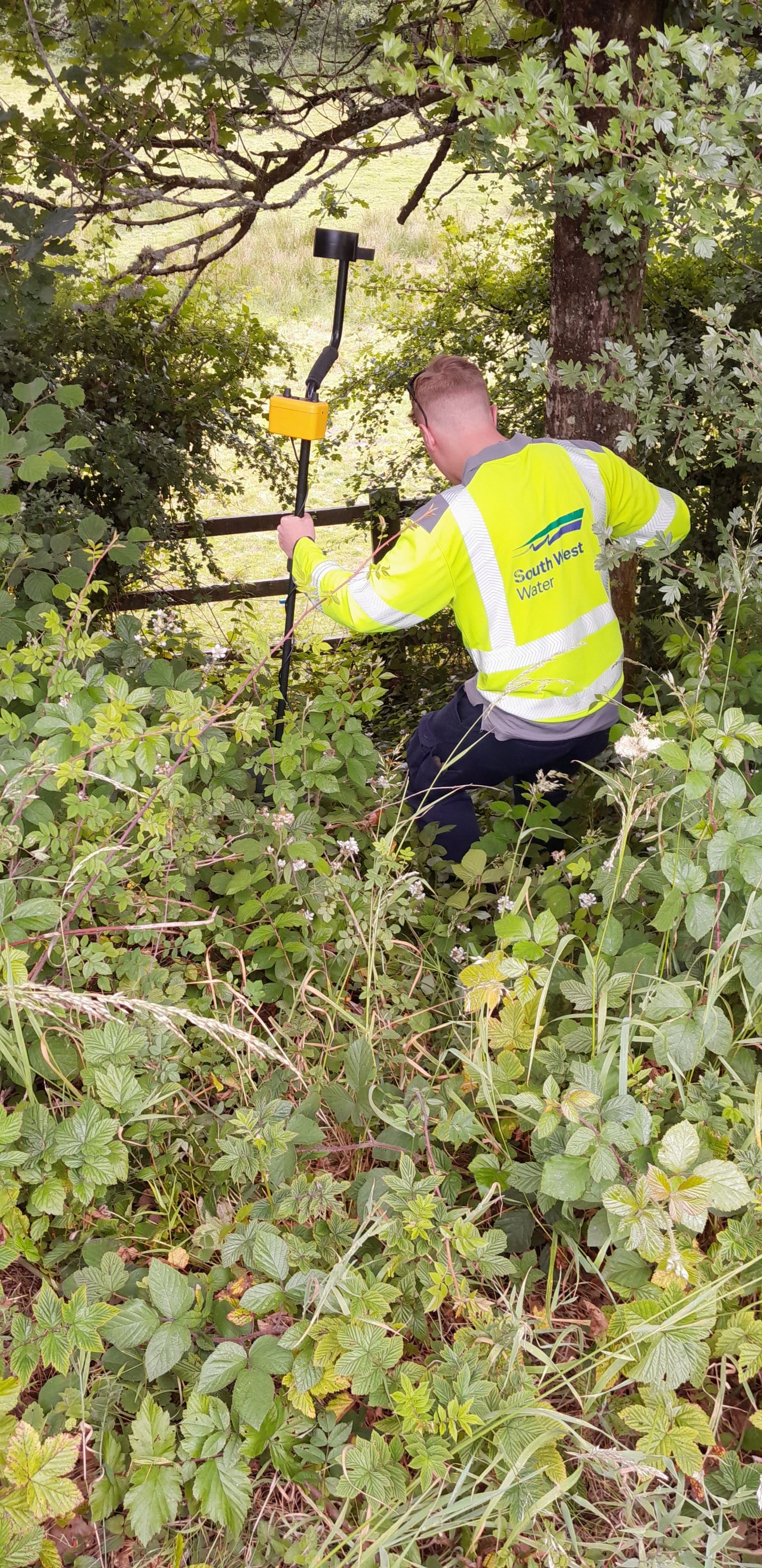 an image of Matt in a hedgerow