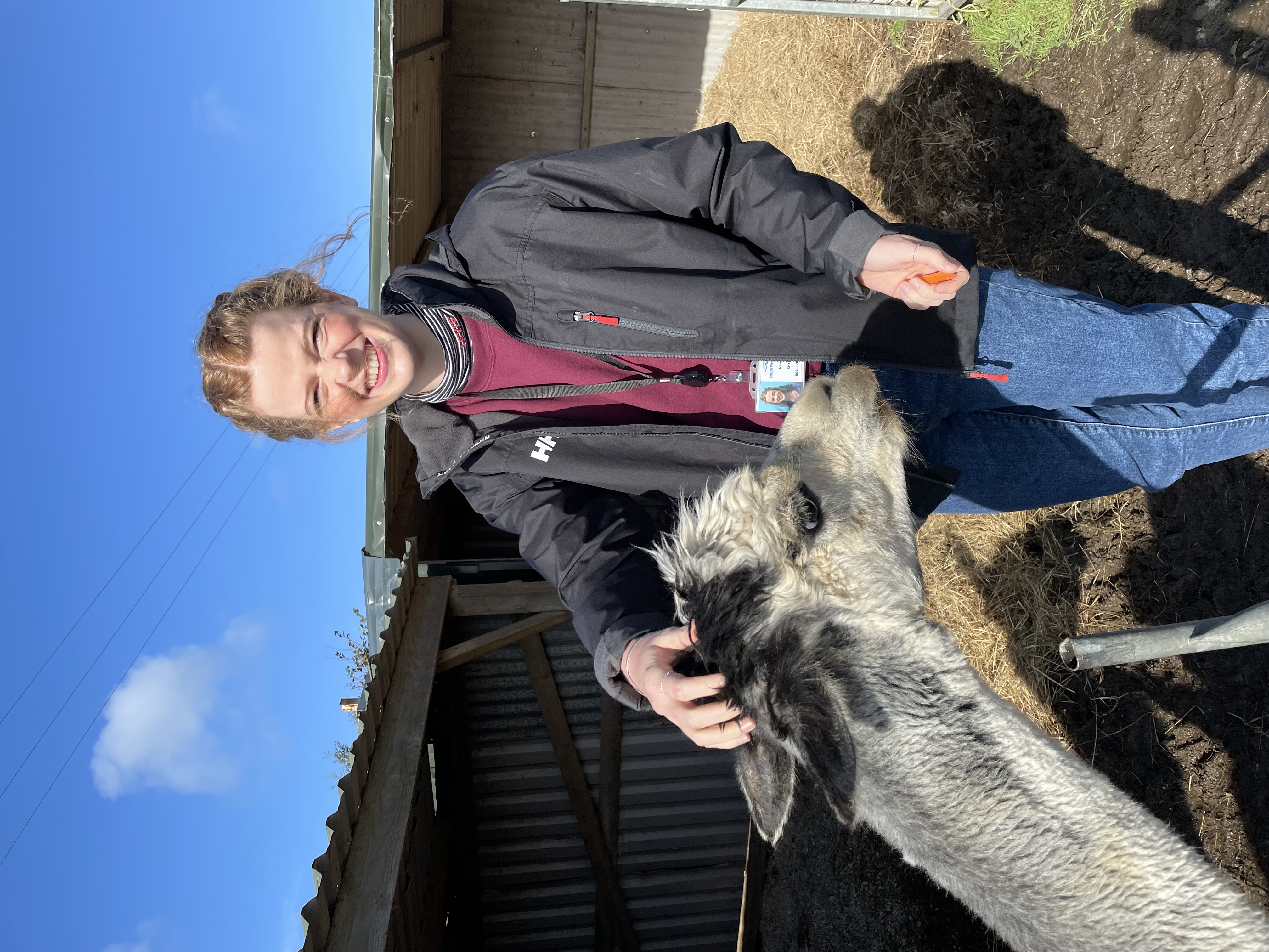 an image of nancy with a llama