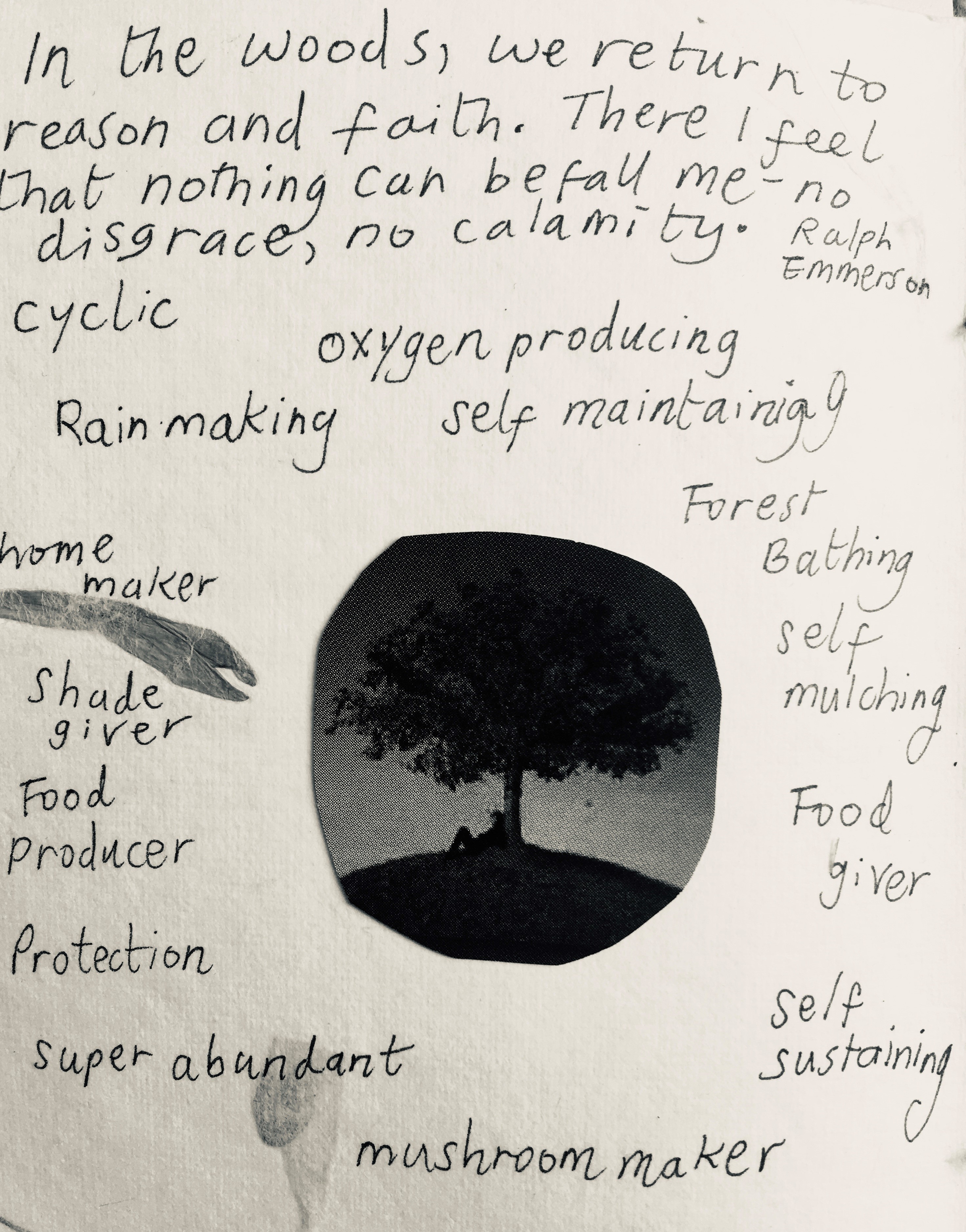 some notes