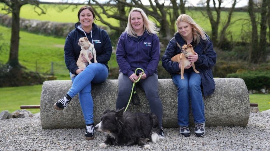 Local charity helps families and animals escape domestic abuse- image