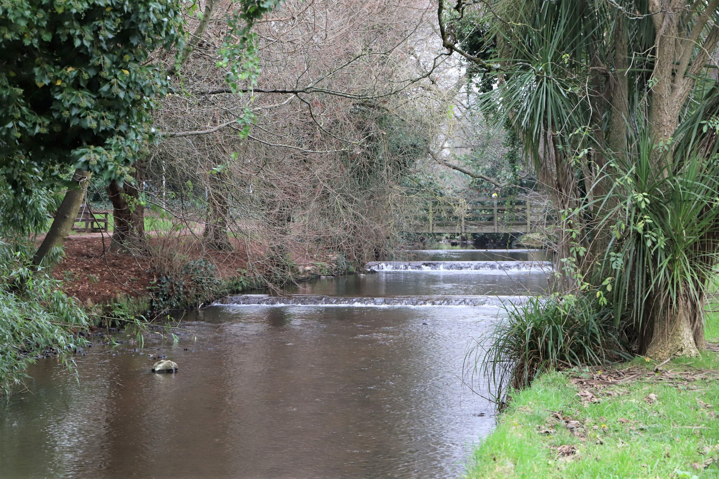 photo of the river