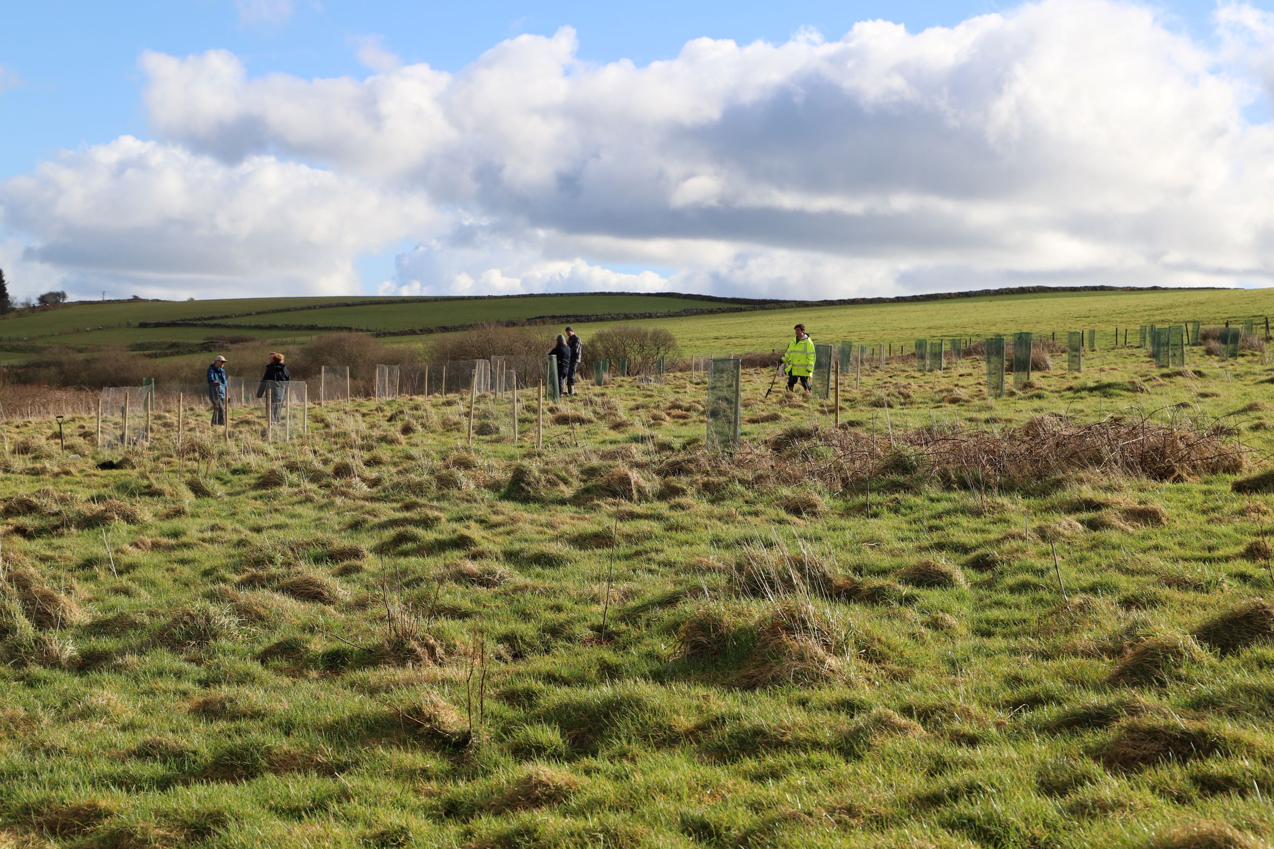 photo of a field 