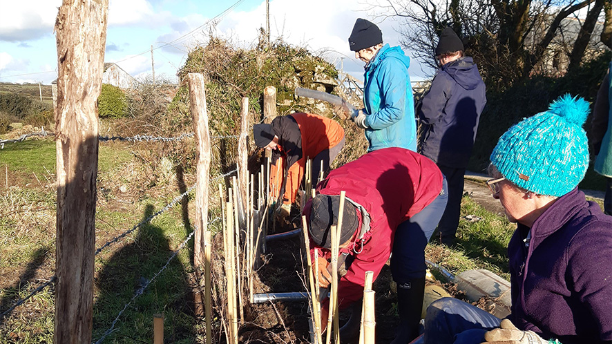 Volunteers planting trees
