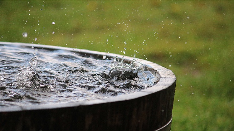 an image of rain water into a barrel