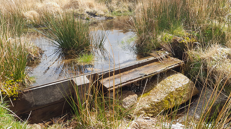 Wooden blocks being used in restoration to slow the flow of water