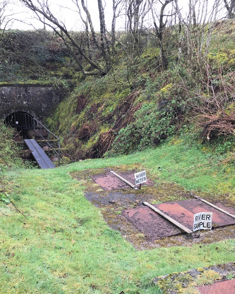 Vellake intake image