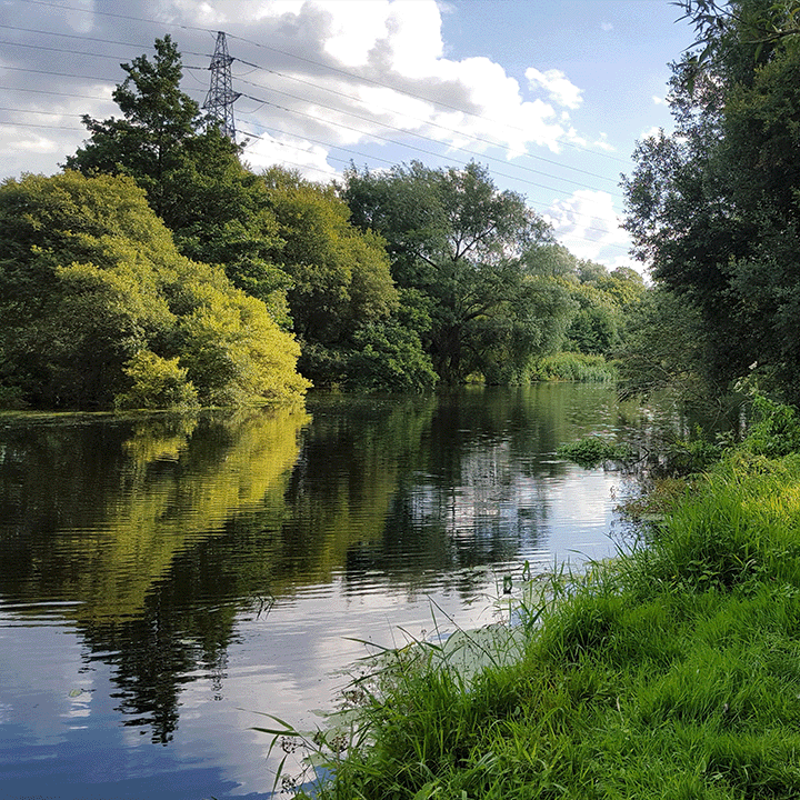 Picture of the River Stour in Bournemouth 