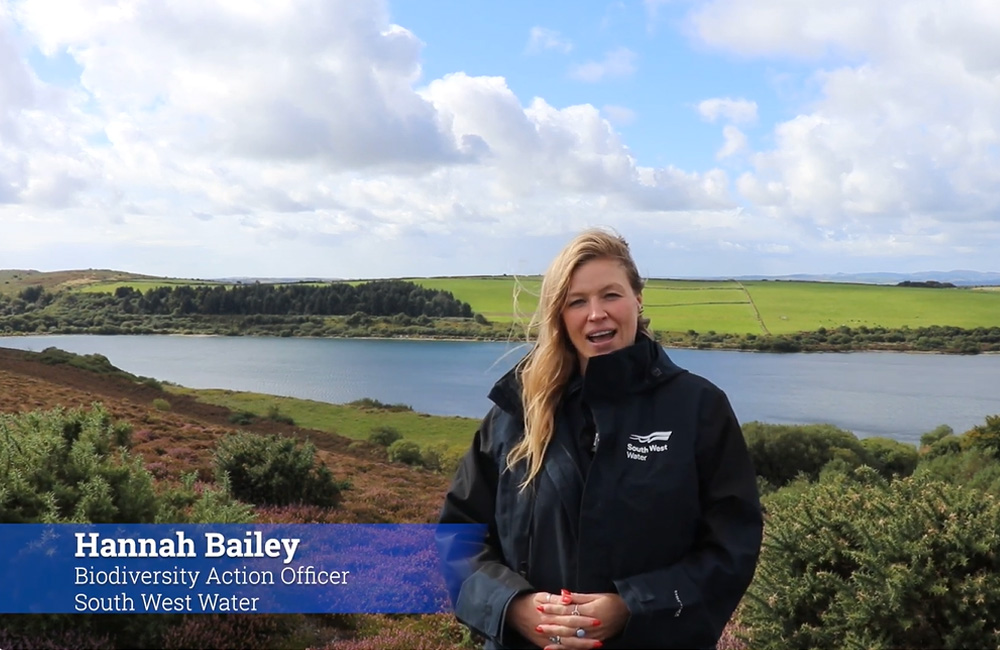 Bodmin_Moor_video_still.jpg